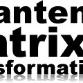 Coupon Matrix Energetics nach Richard BArtlett und Quantenheilung nach Frank Kinslow