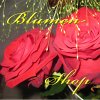 Blumen Logo