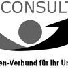 BTV-Consulting Logo