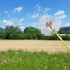 Verlusterfahrungen können jeglichen Halt zunichte machen. Erzählen, wahrnehmen und wahrgenommen werden, wieder Boden unter die Füße bekommen...