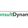 ConsultDynamic Logo