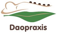 Daopraxis
