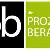 die prozessberater GmbH Logo