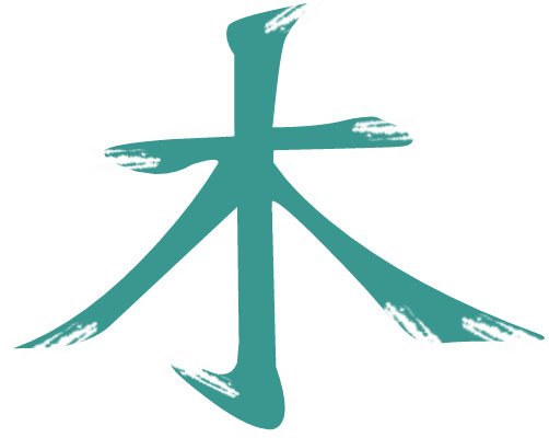 Feng Shui - Energie im Fluss Logo