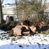 Hundeerziehung in der Hundeschule Nürnberg