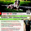 Kennen-Lernspaziergang in Nürnberg Fürth Erlangen hundeschule hundeerziehung