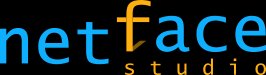 NetFace Logo
