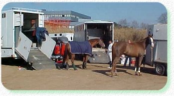 Pferdetransporte-Transporte de caballos