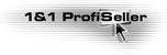 Profiseller-Owschlag Logo