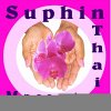 Suphin-Massagen Logo