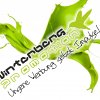 WinterbergPromotion Logo