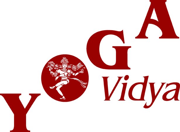 Yoga Vidya Weilerswist Logo