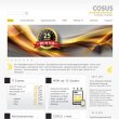 cosus-computer-systeme-und-software-gmbh
