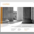 capeo-consulting
