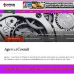 agamus-consult-unternehmensberatung-gmbh