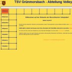 tsv-gruenmorsbach-volleyball