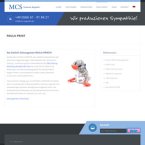 mcs-marketing-consulting-services-e-k
