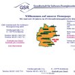 gsr-gesellschaft-fuer-software-reengineering