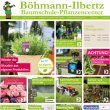 boehmann-ilbertz-gmbh-co