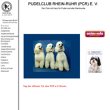 pcr-pudelclub-rhein-ruhr