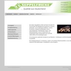 seppelfricke-giessereitechnik-gmbh-co