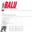 balu-bauelemente-vertriebs-gmbh