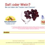 bad-hoenninger-fruchtsaefte-und-weine-gmbh