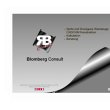 blomberg-consult
