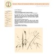 shuidao---praxis-f-252-r-chinesische-medizin-und-klassische-akupunktur