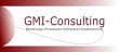 gmi-consulting