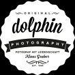 dolphin-photography