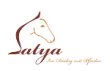 satya---im-dialog-mit-pferden