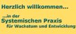 systemische-praxis-hamburg-familienberatung-und-supervision-coaching-burnout-beratung