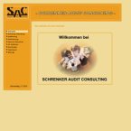 schrenker-audit-consulting