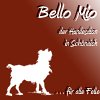 bello-mio-hundesalon