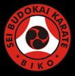 sei-budokai--honbu-dojo-nuernberg