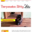 tierpension-kitty