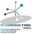 it-consulting