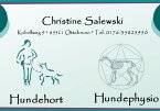 hundehort-hundephysiotherapie