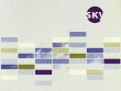 sky-moderne-zeitarbeit-gmbh