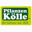 pflanzen-koelle-gartencenter-gmbh-co-kg-stuttgart