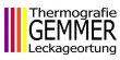torsten-gemmer-thermografie-leckageortung