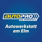 autowerkstatt-am-elm-gmbh