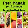 petr-panak-fresh-concept