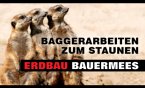 bauermees-erdbau-baggerarbeiten-zum-staunen