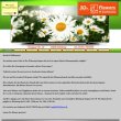 blumen-3d-flowers