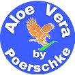 aloe-vera-by-poerschke