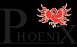 phoenix-gmbh-co-kg