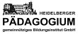 heidelberger-paedagogium-ggmbh