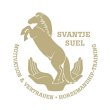 svantje-suel---motivation-vertrauen---horsemanship-training